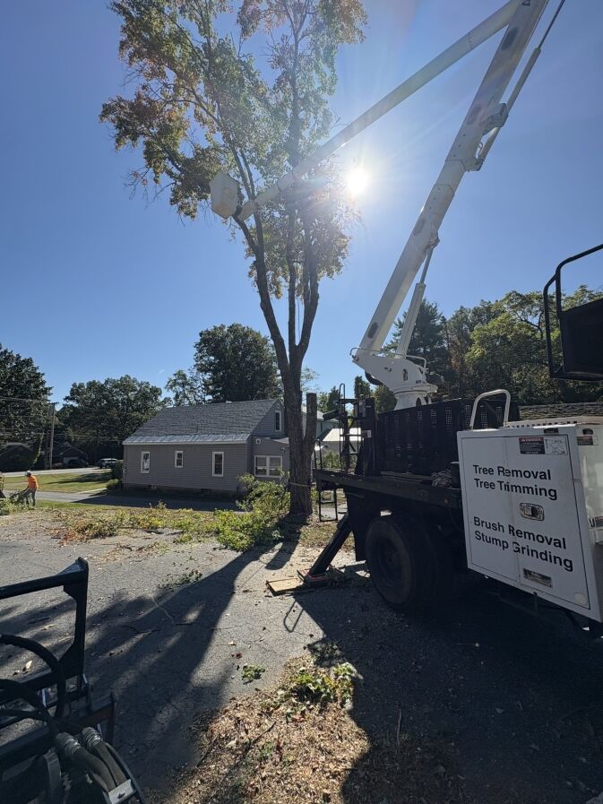 A worker in a bucket lift trims branches from a tall tree near a gray house, with a truck labeled for tree removal and trimming services parked nearby.