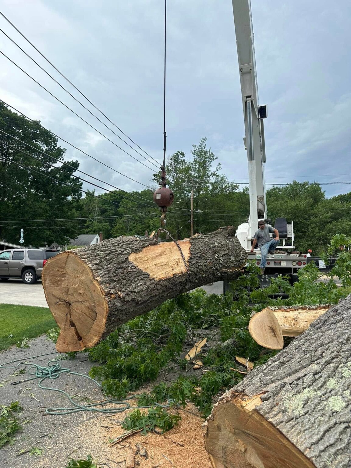 Emergency Storm Damage Tree Removal Services in Ballston Spa, NY