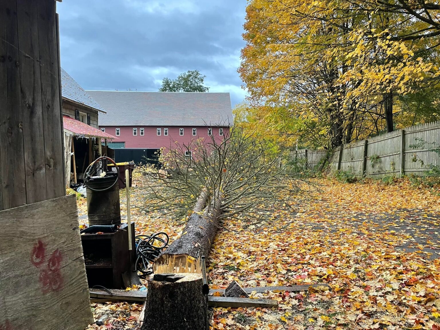 Emergency Storm Damage Tree Removal Services in Ballston Spa, NY