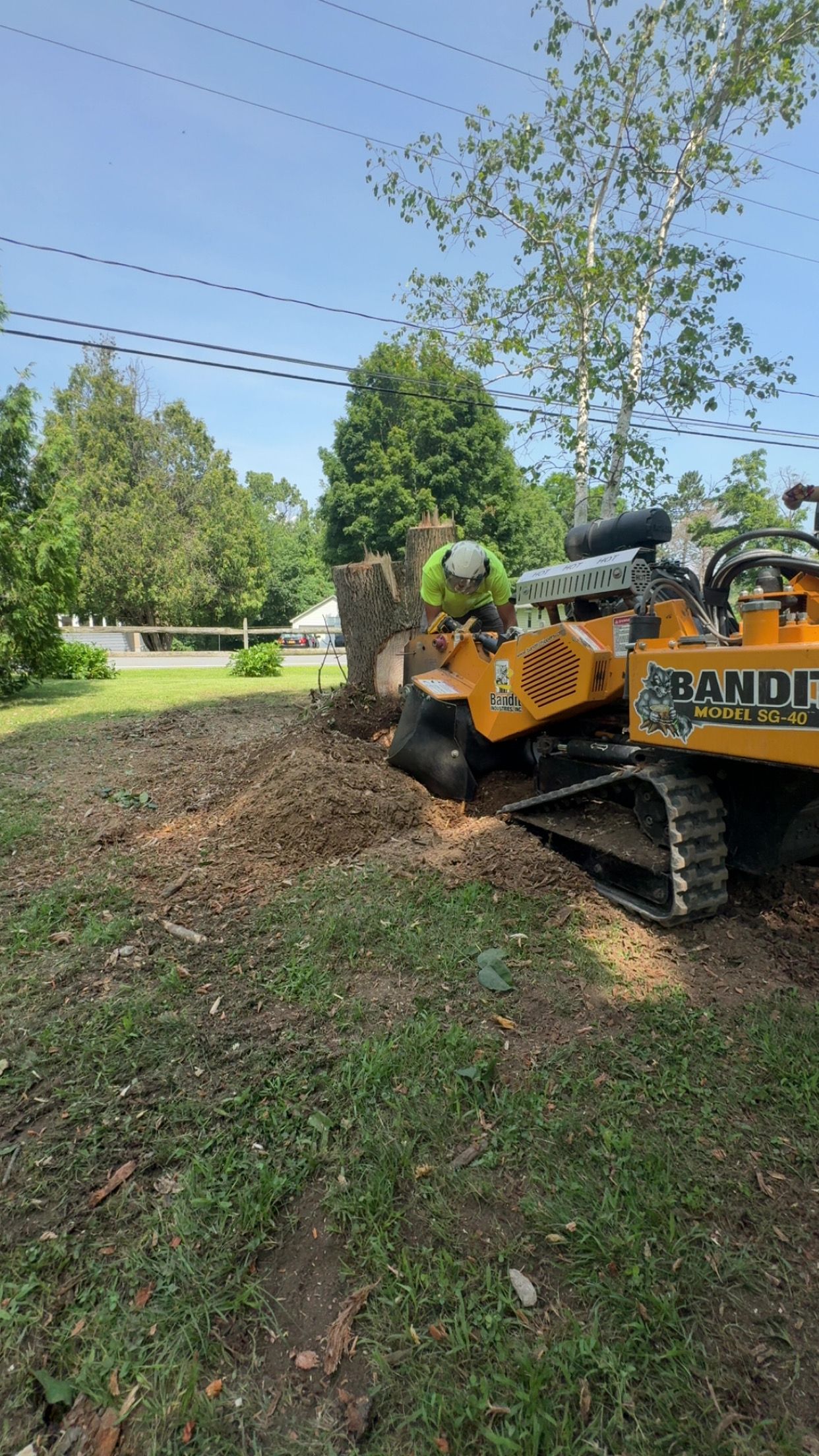 A worker uses a Bandit stump grinder to remove a tree stump in a grassy yard on a clear day.