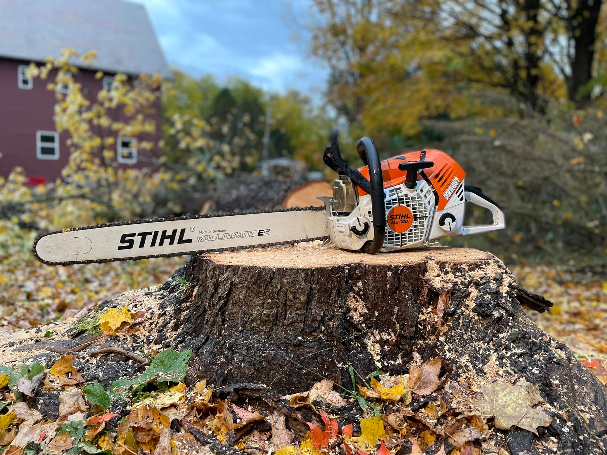 A Stihl chainsaw resting on a freshly cut tree stump with autumn leaves and sawdust scattered around, and a red building blurred in the background.