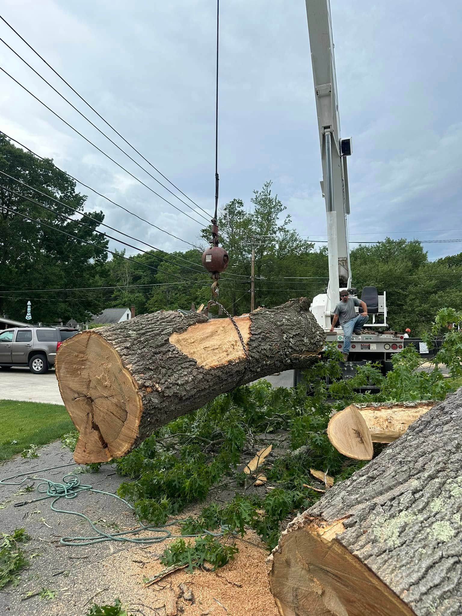Emergency Storm Damage Tree Removal Services in Ballston Spa NY