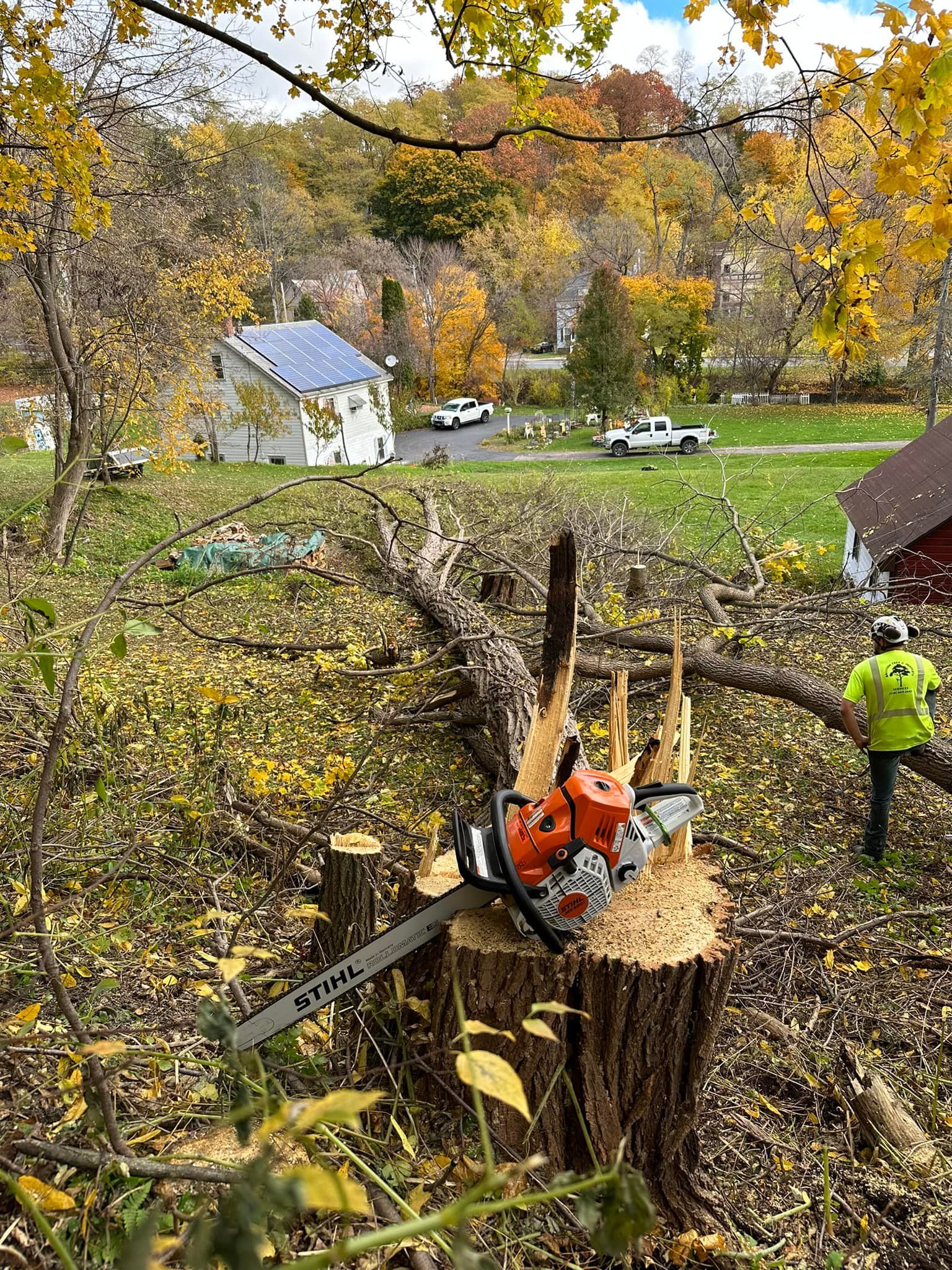 Stump Grinding & Removal in Burnt Hills NY