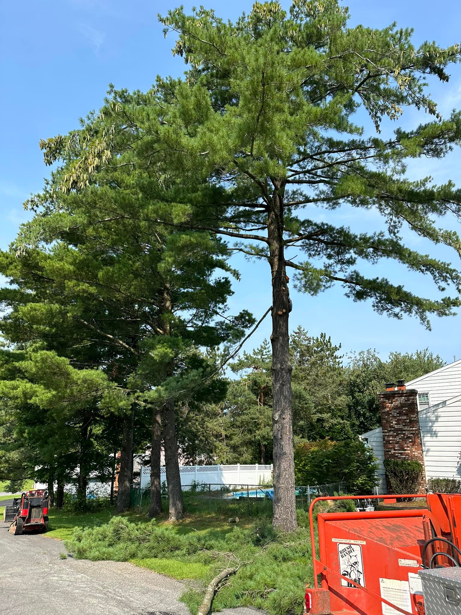 Tree Pruning Services in Ballston Lake NY
