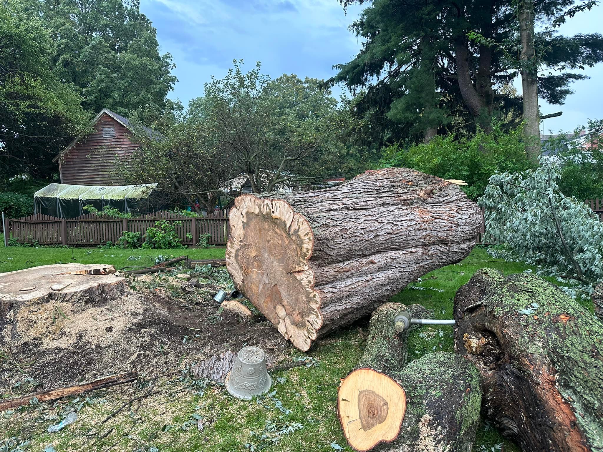 Tree Removal Services in Ballston Spa NY