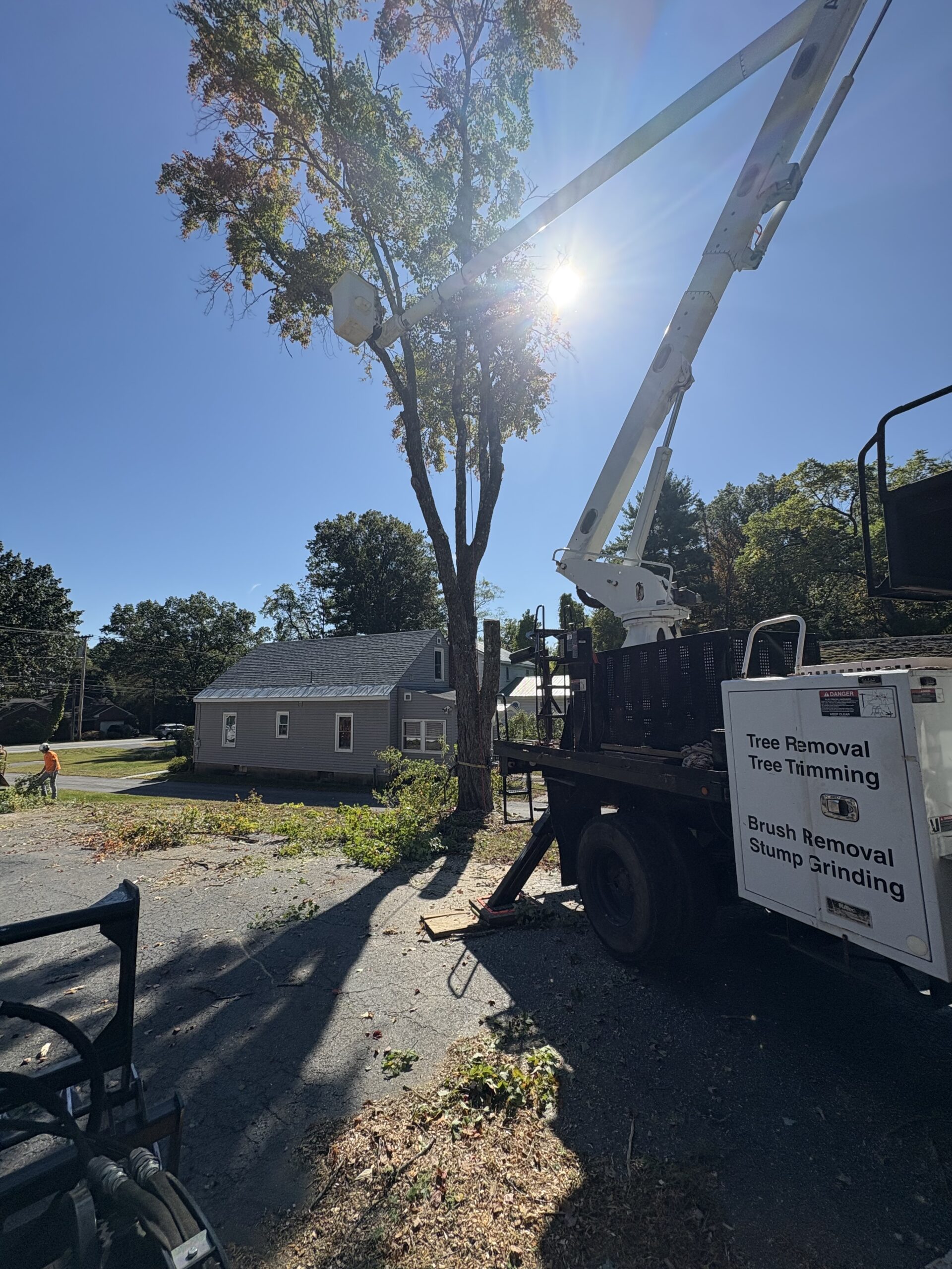 Tree Trimming Services in Ballston Lake NY
